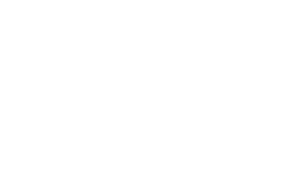 Boston Chimney Sweep